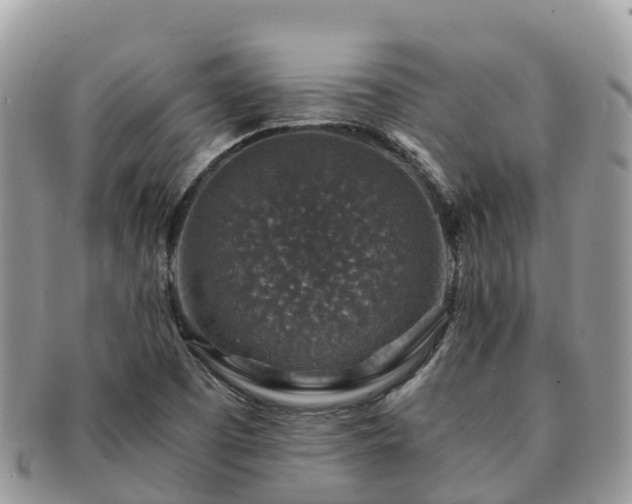 X0000091181457200708161508