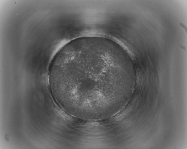 X0000091181462200708161508