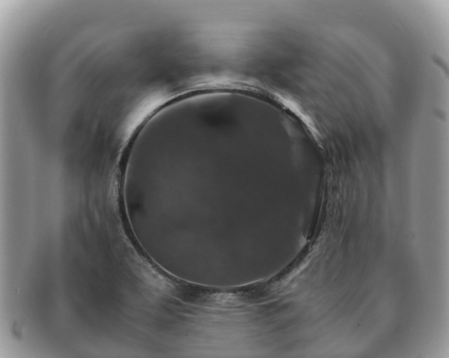 X0000091181463200708161508