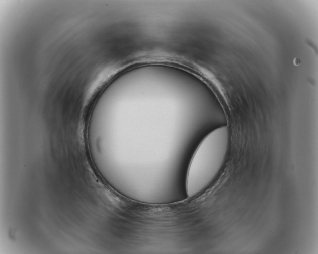 X0000091181464200708161508