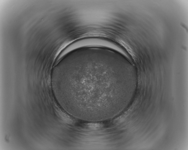 X0000091181465200708161508