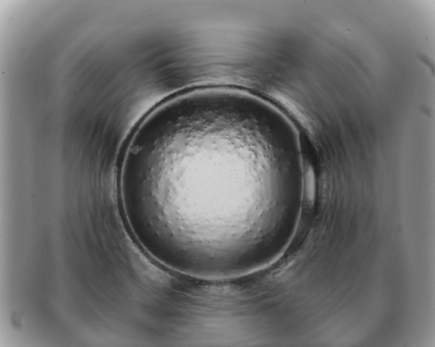 X0000091181468200708161508