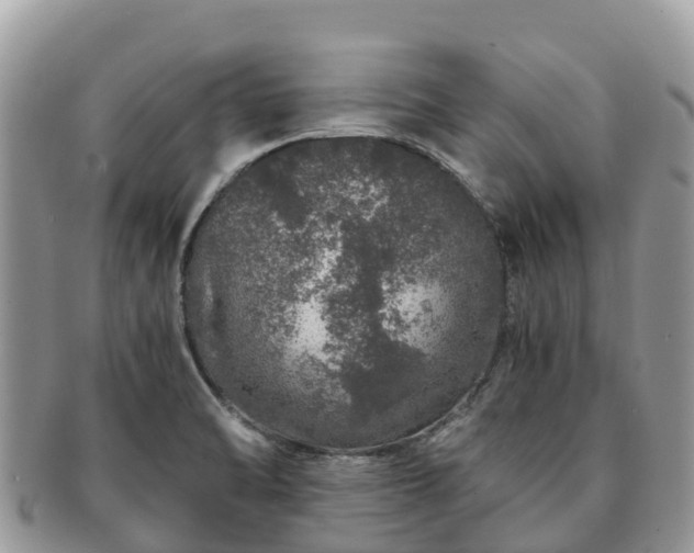 X0000091181470200708161508
