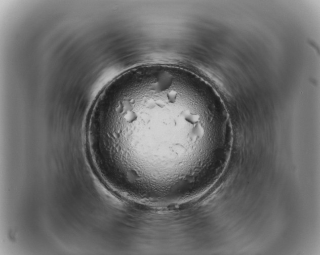 X0000091181471200708161508
