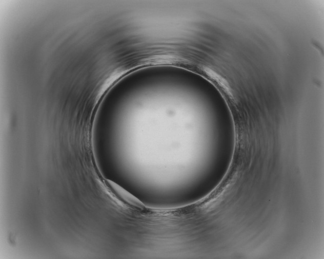 X0000091181473200708161508