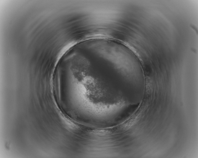 X0000091181474200708161508