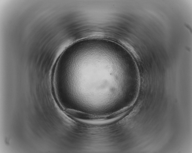 X0000091181475200708161508