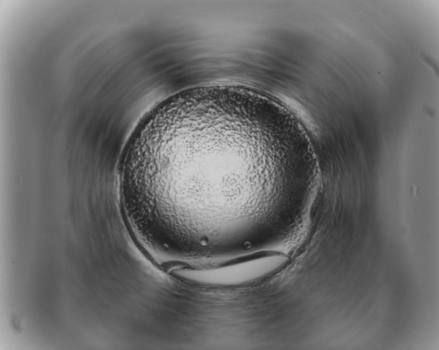 X0000091181476200708161508