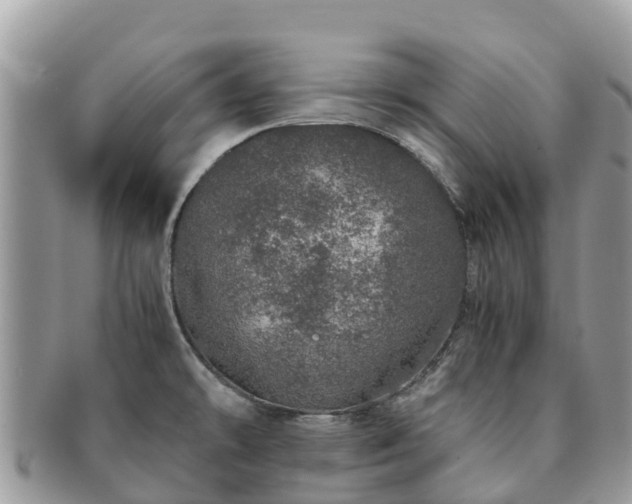 X0000091181478200708161508