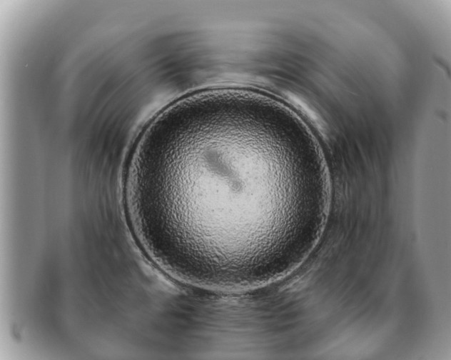 X0000091181480200708161508