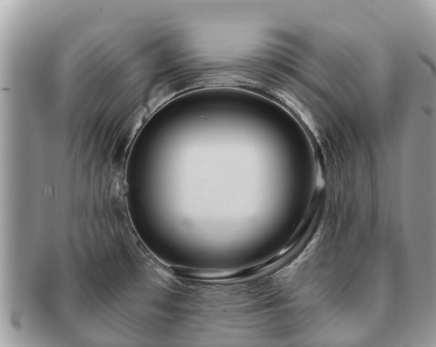 X0000091181481200708161508
