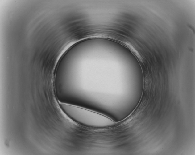 X0000091181484200708161508