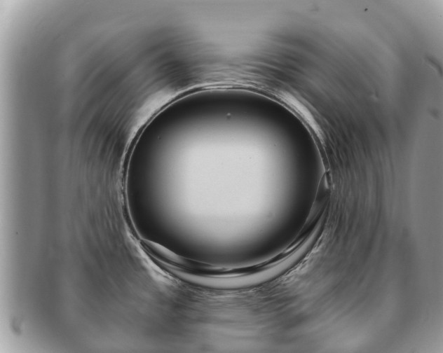 X0000091181485200708161508