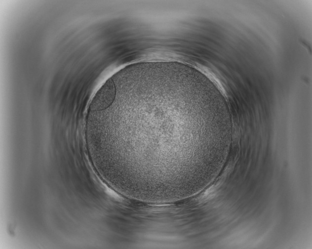 X0000091181486200708161508