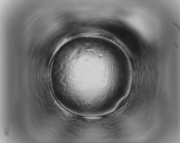 X0000091181487200708161508