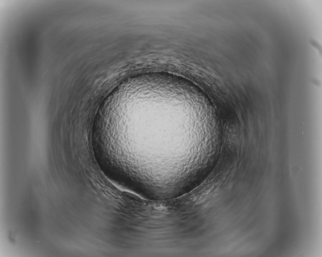 X0000091181489200708161507
