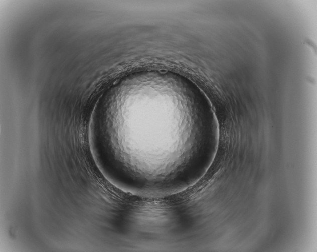 X0000091181490200708161507