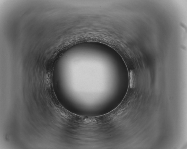 X0000091181491200708161507