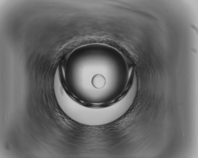 X0000091181492200708161507