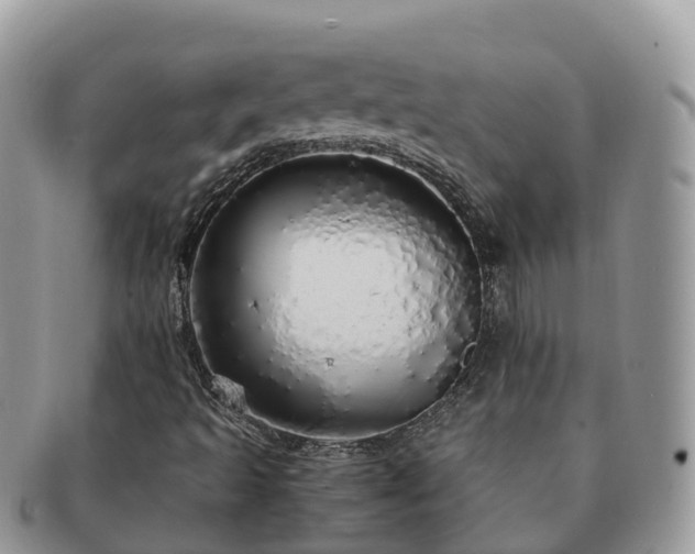 X0000091181493200708161507
