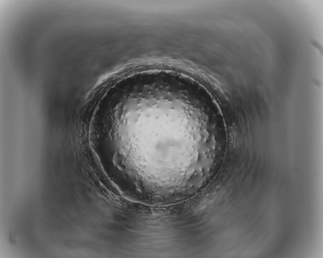 X0000091181494200708161507