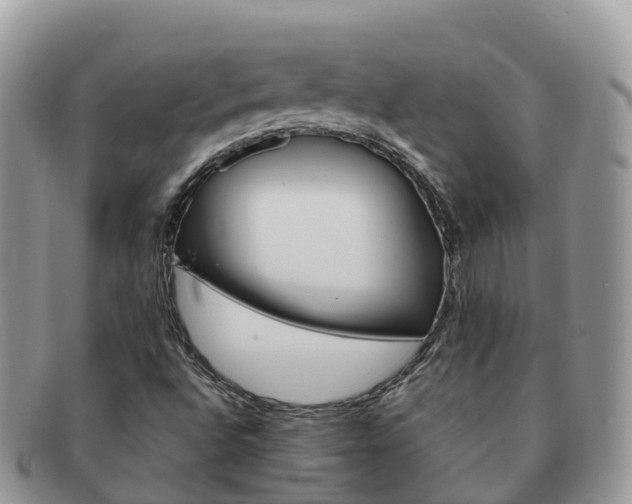 X0000091181496200708161507