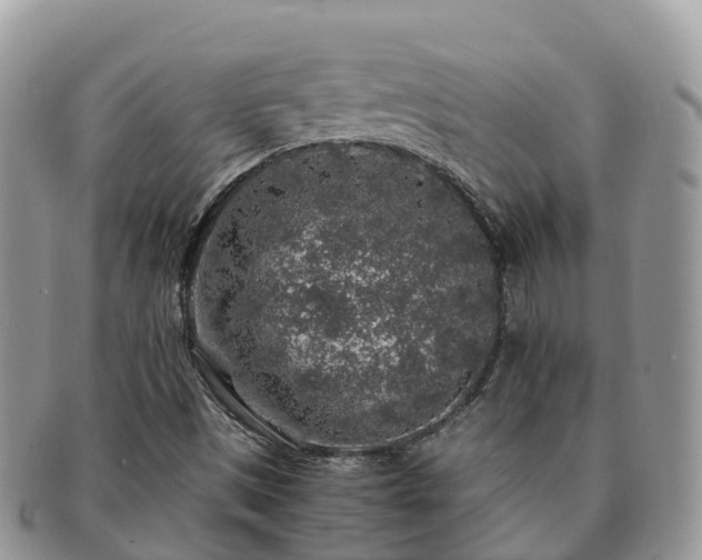 X0000091181497200708161507