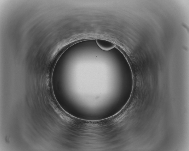 X0000091181499200708161507