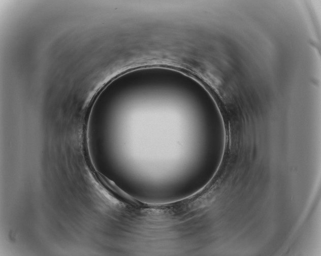 X0000091181500200708161507