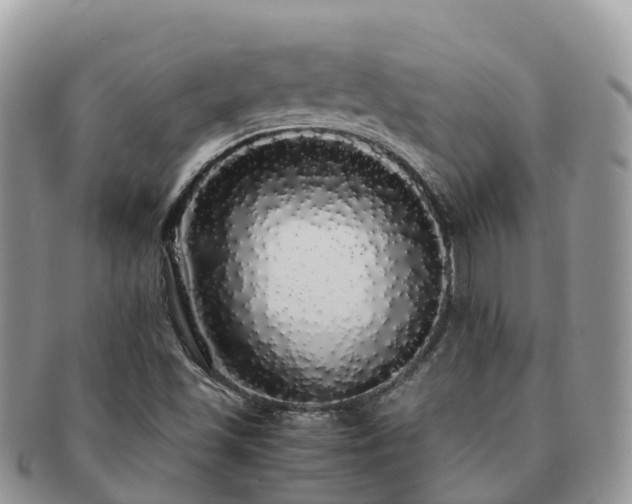 X0000091181501200708161507