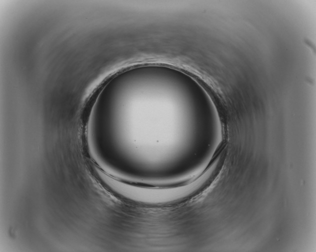 X0000091181502200708161507