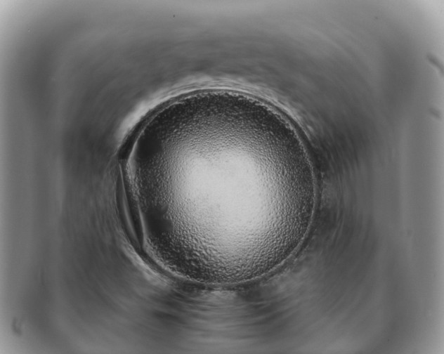 X0000091181503200708161507