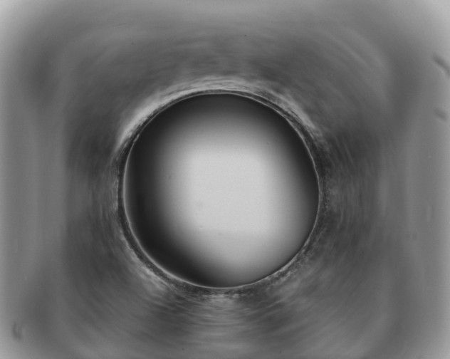 X0000091181504200708161508