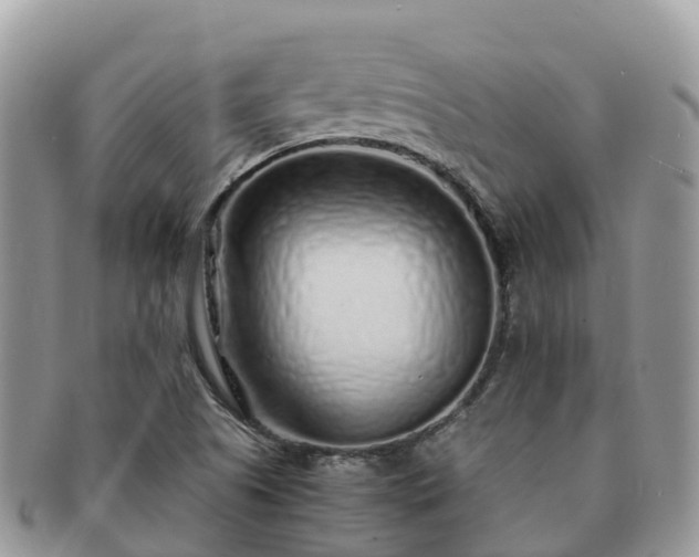 X0000091181505200708161508