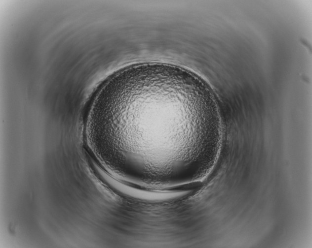 X0000091181507200708161508