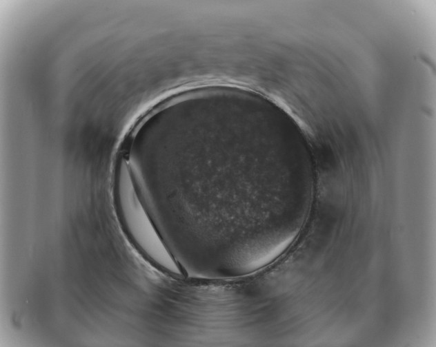 X0000091181508200708161508