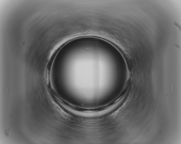 X0000091181510200708161508
