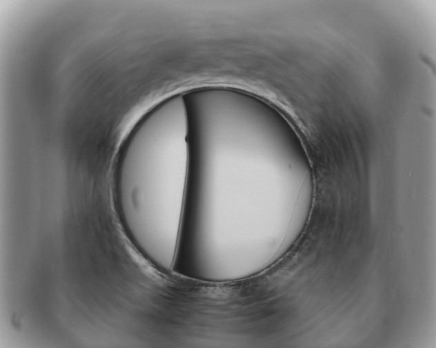 X0000091181511200708161508