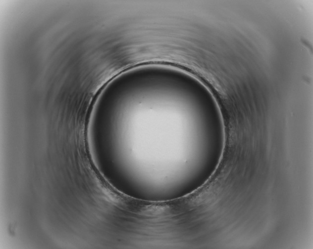 X0000091181513200708161508