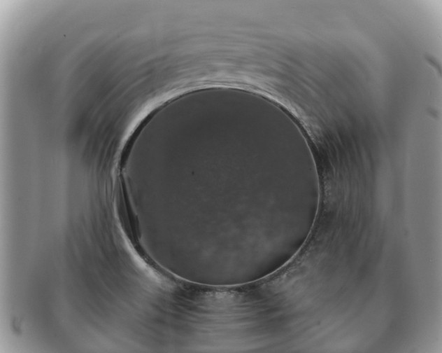 X0000091181515200708161508