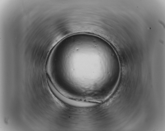 X0000091181521200708161508