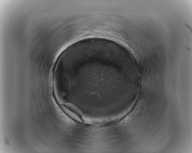X0000091181522200708161508