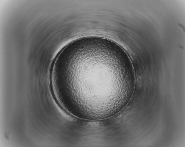 X0000091181523200708161508