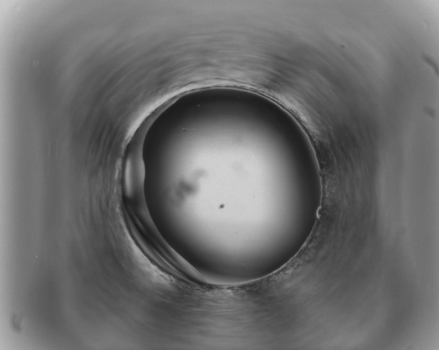X0000091181524200708161508