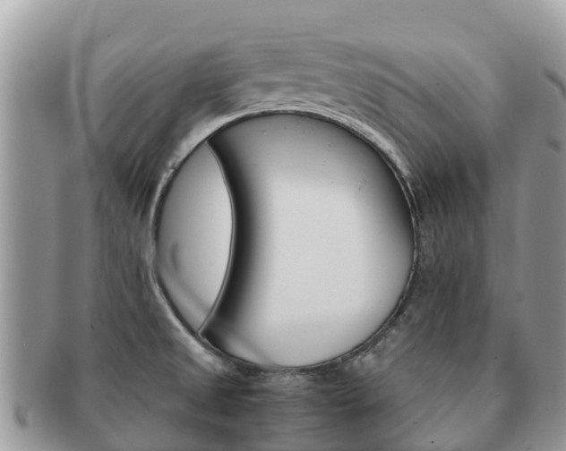 X0000091181525200708161508