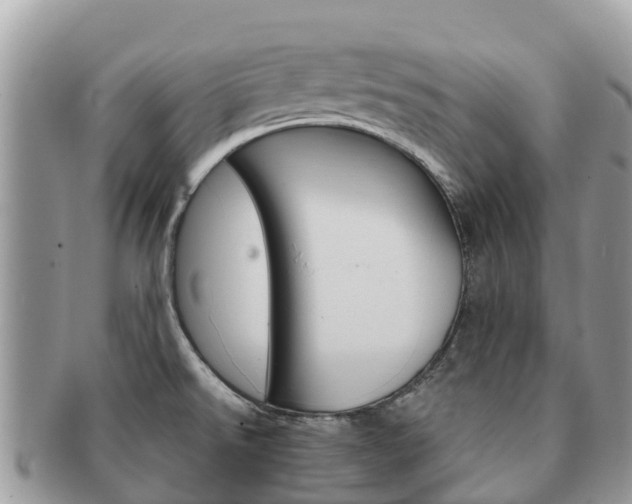 X0000091181526200708161508