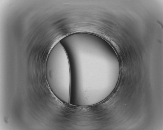 X0000091181529200708161508