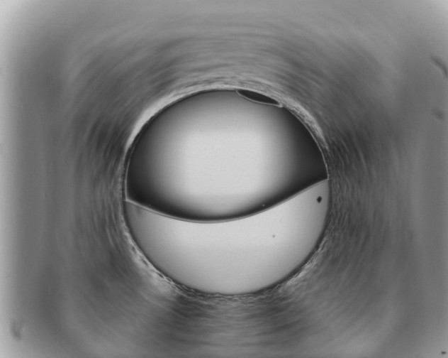 X0000091181530200708161508