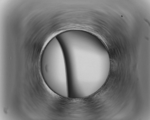 X0000091181531200708161508