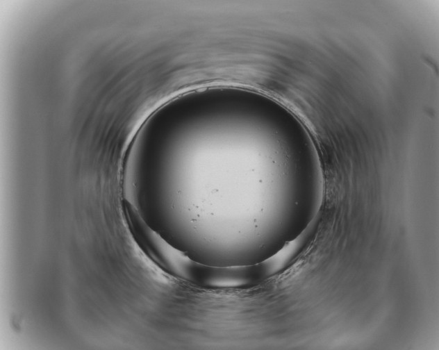 X0000091181532200708161508